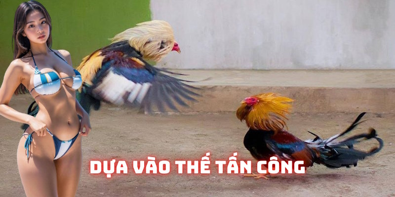 Hội viên có thể dựa vào tư thế tấn công