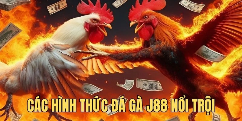 Tổng hợp các hình thức chọi kê nổi trội của nhà cái