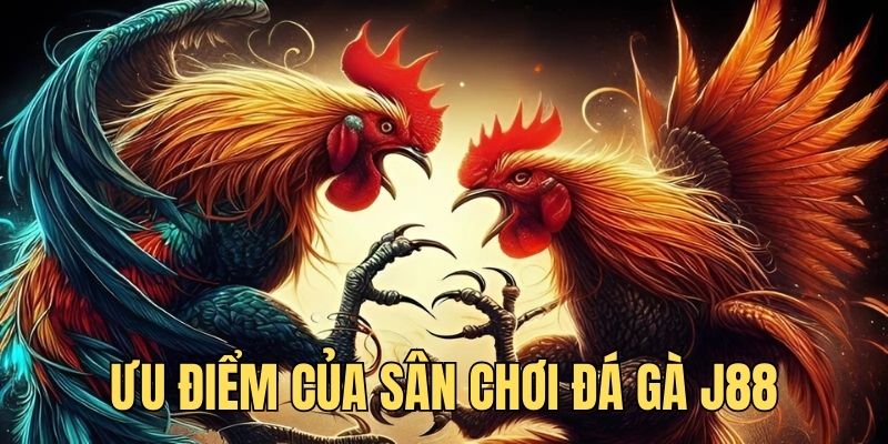 Ưu điểm nổi bật của sảnh game chọi kê tại J88